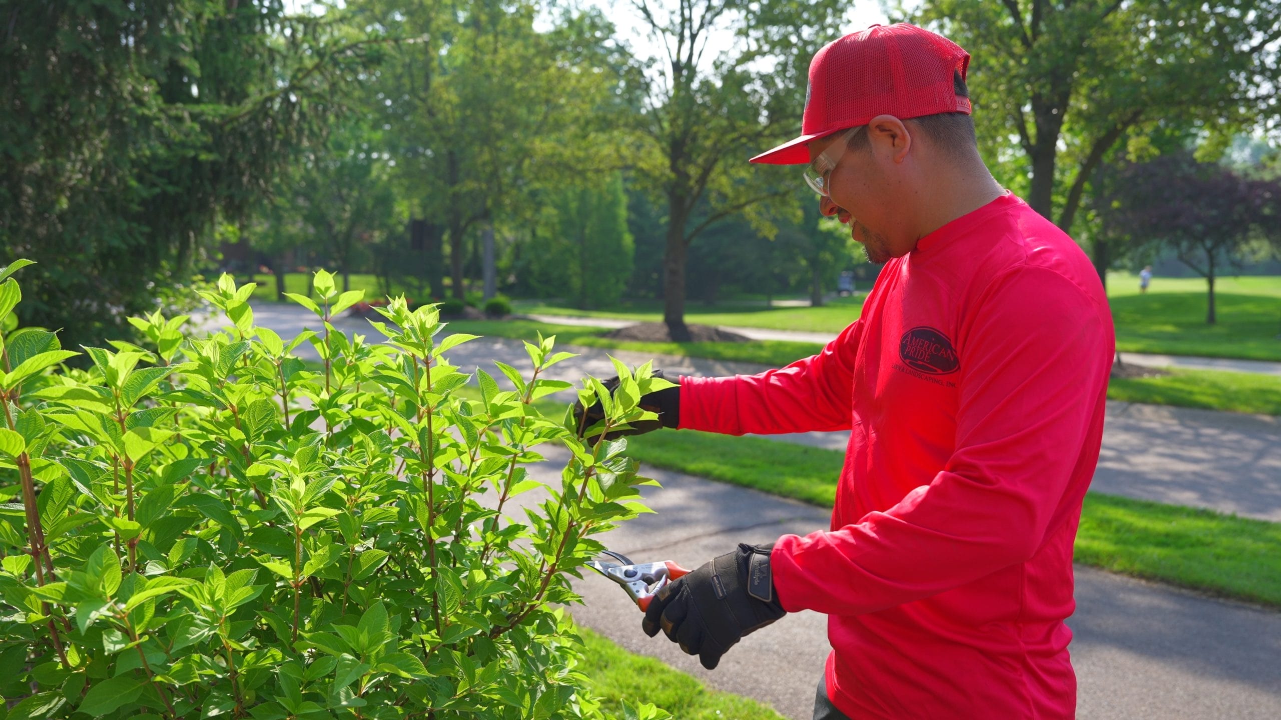 Landscape Maintenance